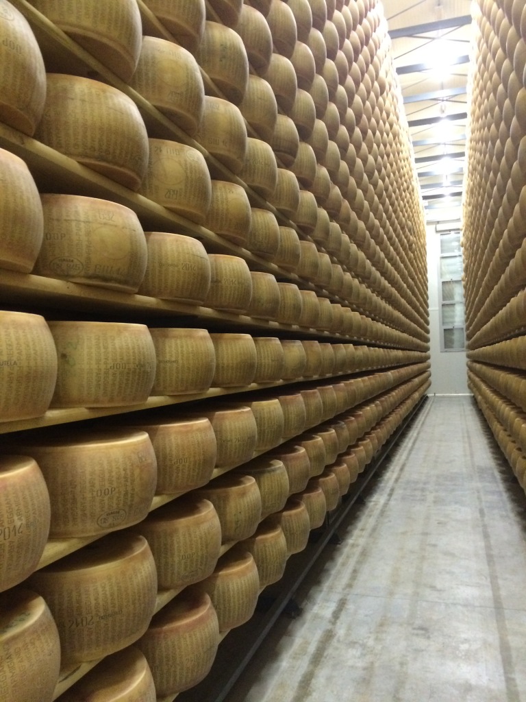 Parmigiano in the San Simone warehouse - the ageing process begins