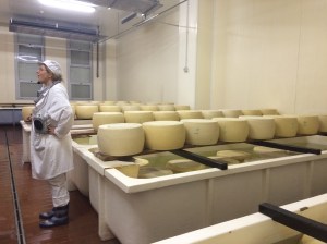 The cheeses are placed in salt baths to give them the distinctive Parmigiano flavour.