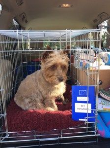 Sasha and her pet passport - ready to go! May 2015 www.educated-traveller.com