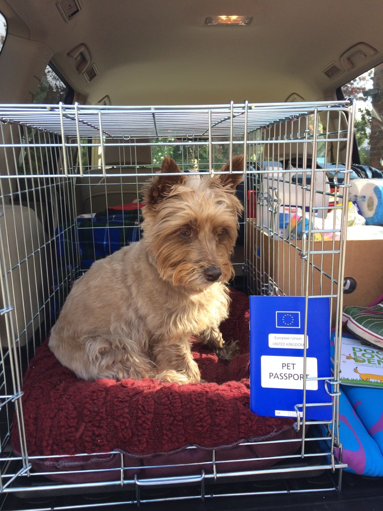 Sasha and her pet passport - ready to go! May 2015 www.educated-traveller.com