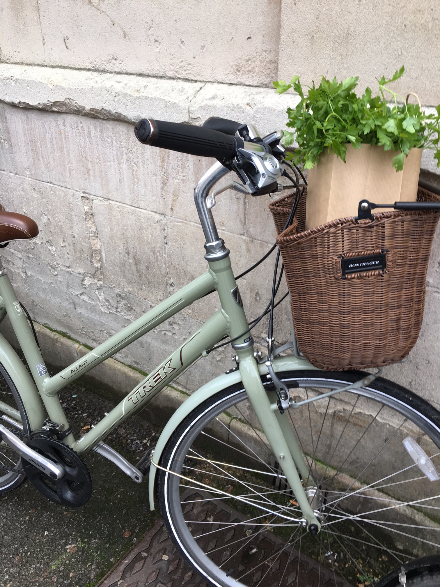 The Educated Traveller Bike - requires urgent transportation to Italy