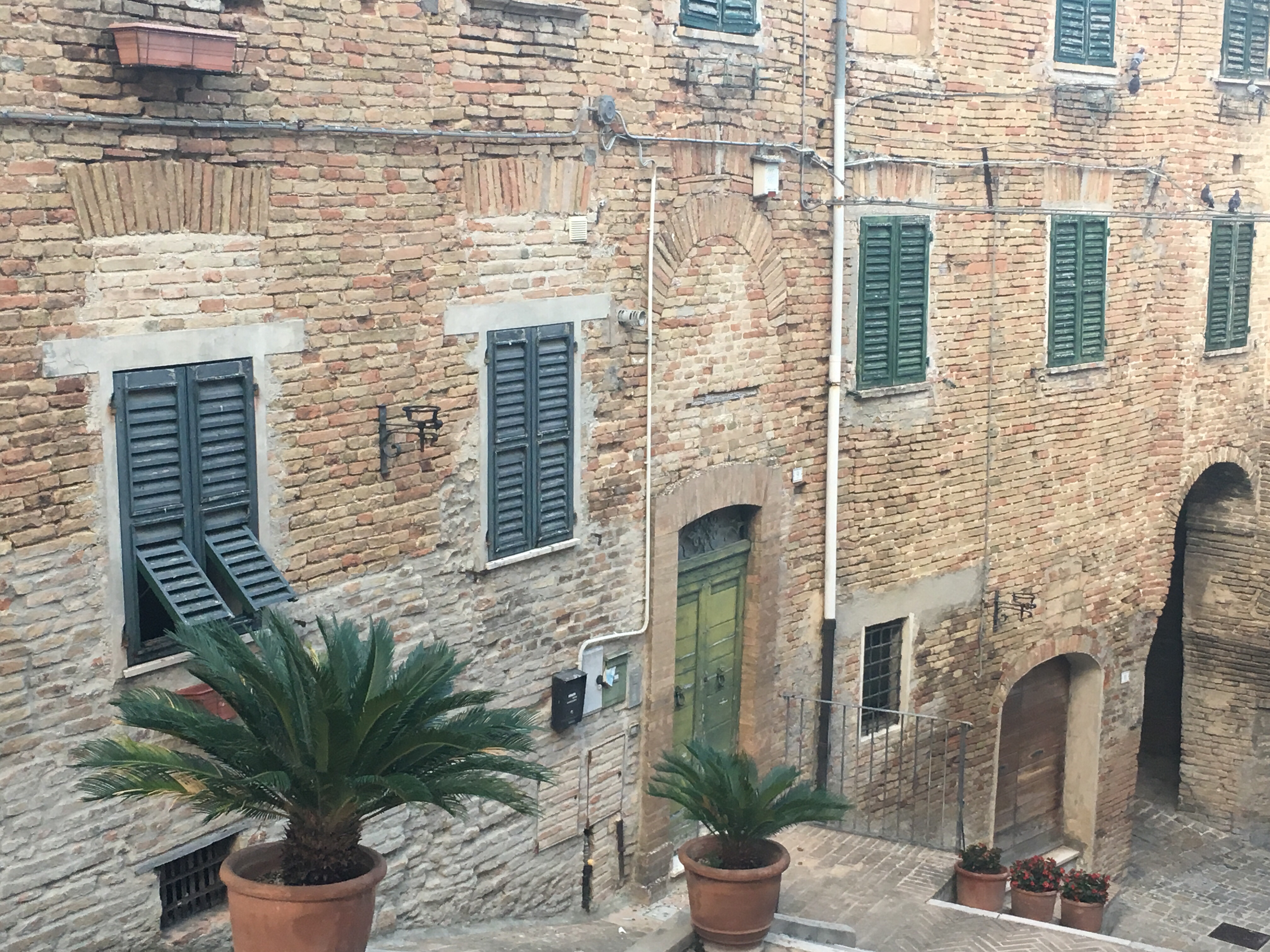 Corinaldo - medieval walled town, Le Marche, Italy - www.educated-traveller.com