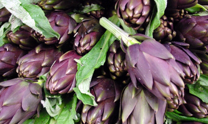 Carciofi (artichokes) of Sant'Erasmo, Venice