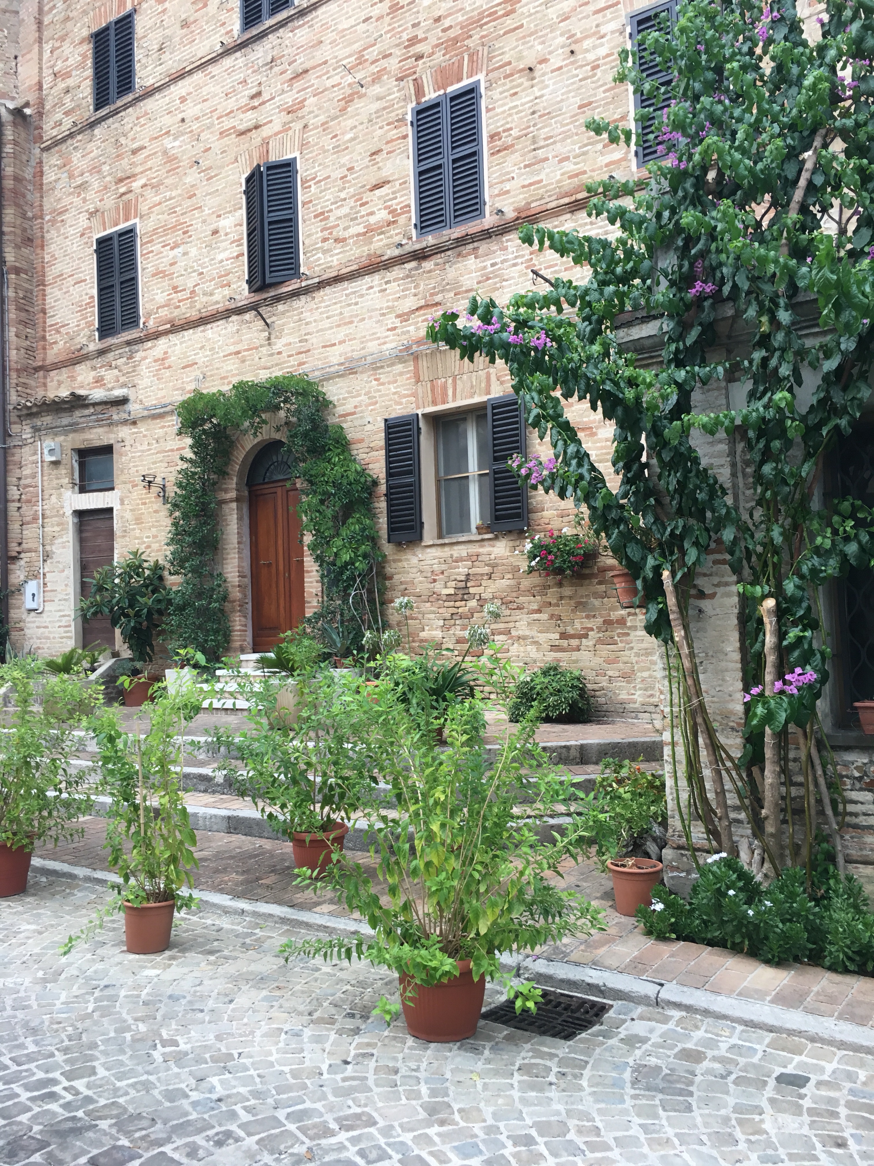 Corinaldo - historic town centre - www.educated-traveller.com