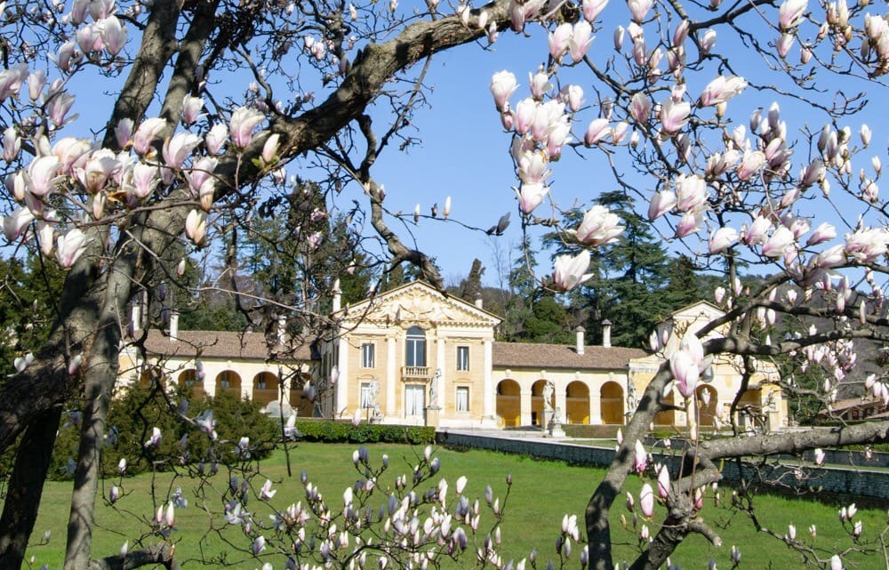 Villa Barbaro, Maser at Magnolia time www.educated-traveller.com