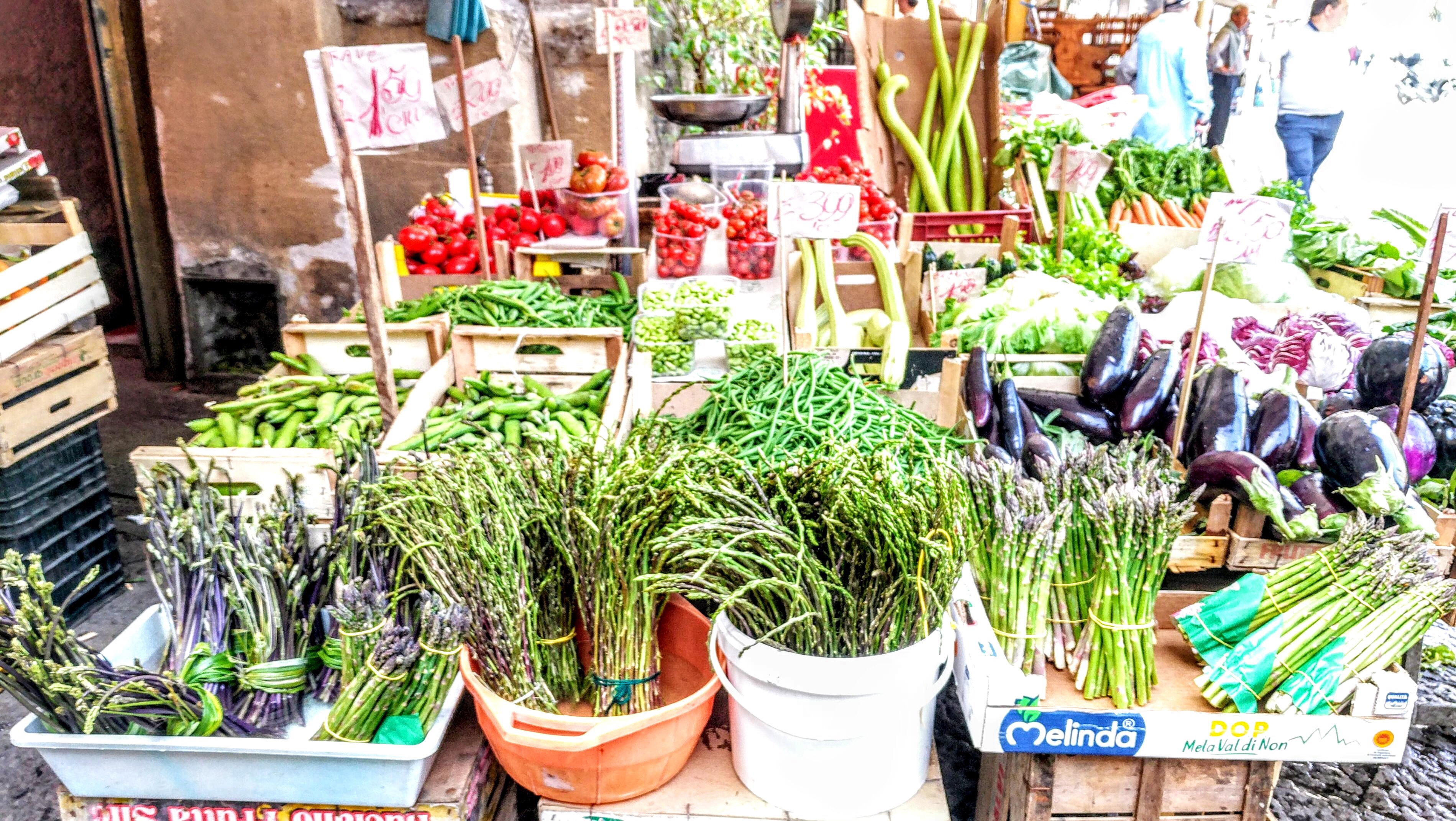 Asparagus, Asparagus - so much choice, so many different types