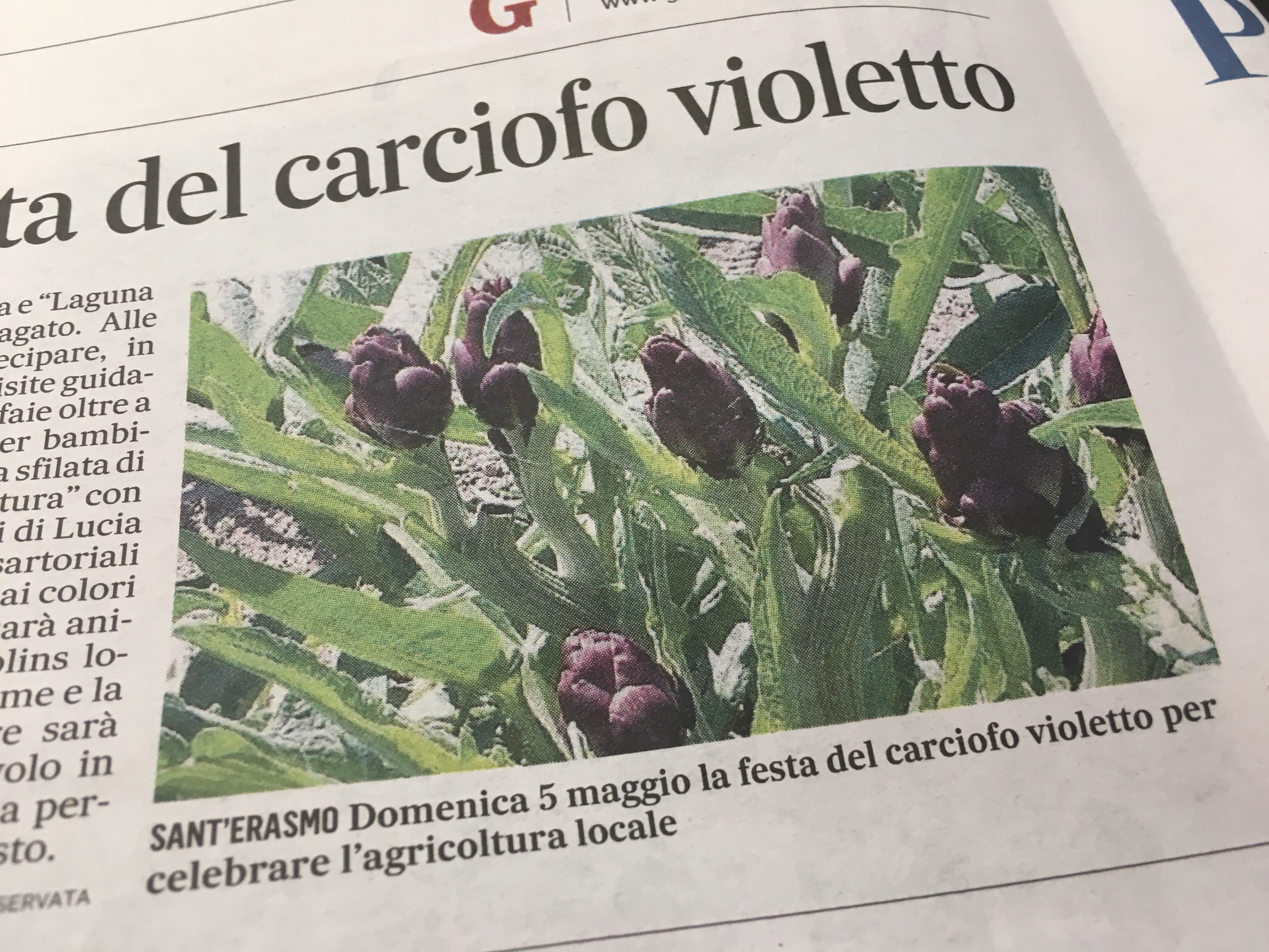The Carciofo Violetto Festa - 05 May, 2019 advertised in Il Gazzettino.