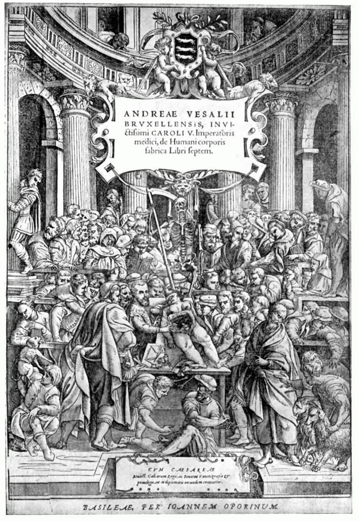 A typical Anatomy Theatre of the 17th century - Brussels