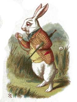The White Rabbit - illustration by John Tenniel