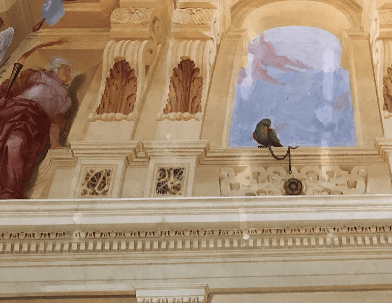 Villas of the Veneto - a regal parrot supervises proceedings - no doubt he has an opinion!