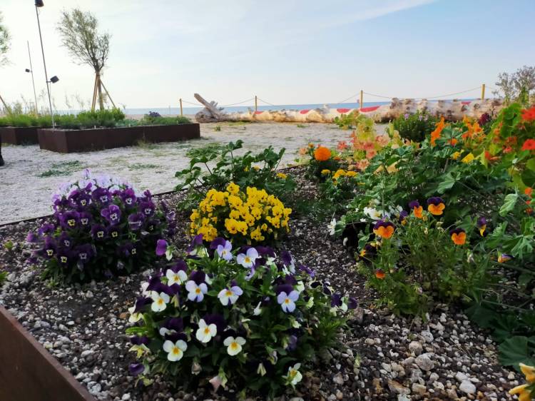 Moreno Cedroni's herb garden 'al mare'