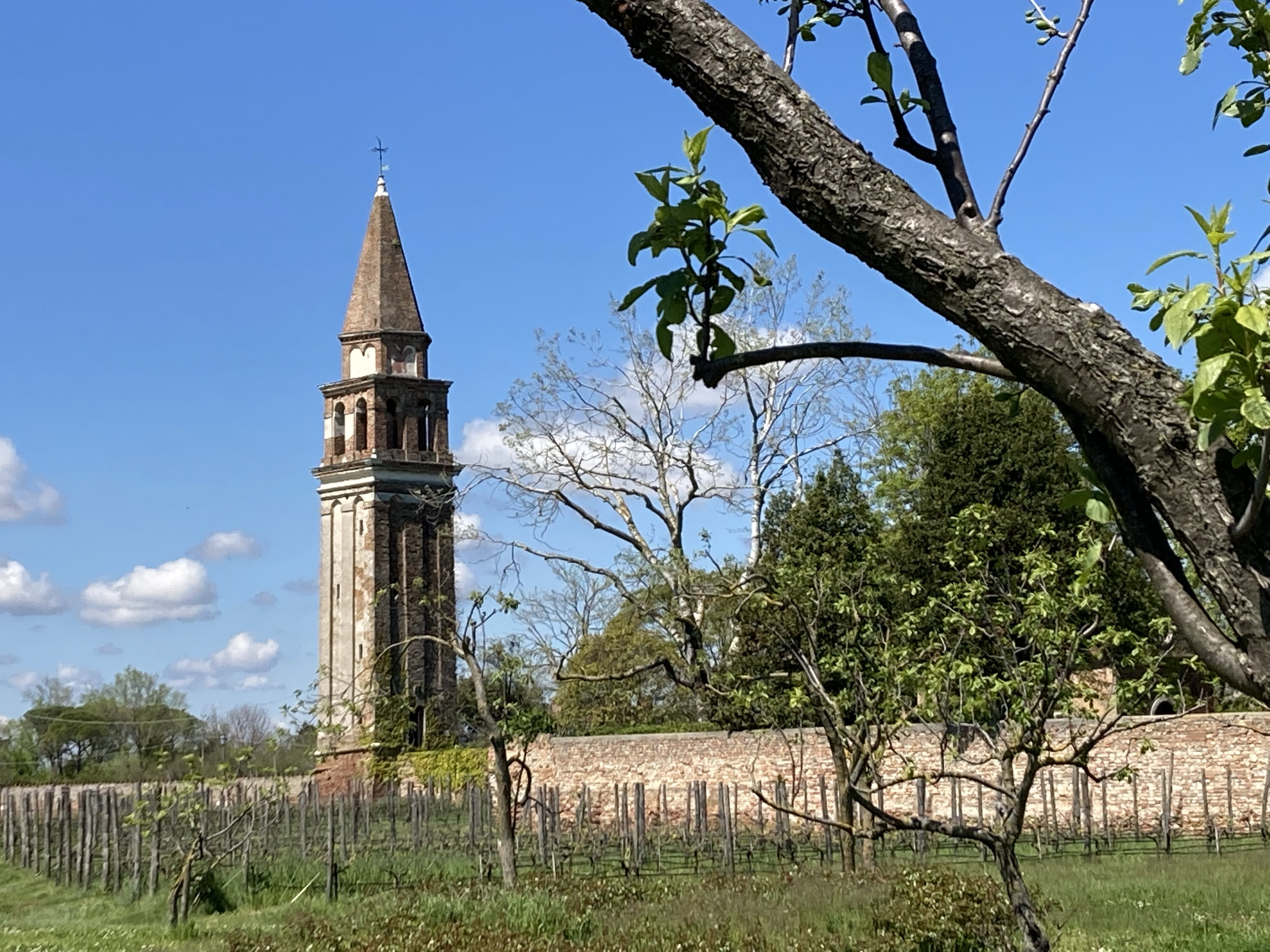 The bell-tower of Mazzorbo, Venice