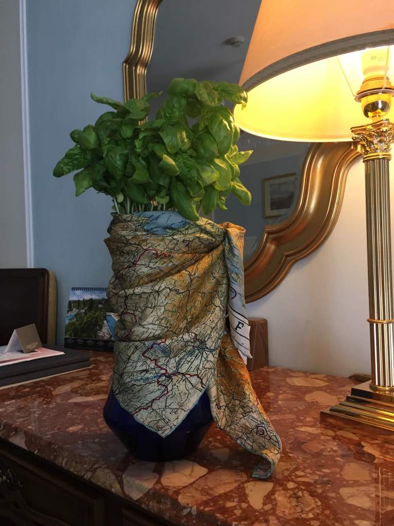 Abano - Basil the support plant dresses up to amuse me