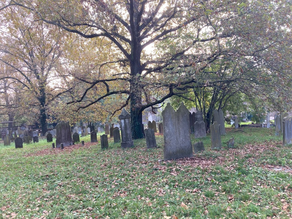 The Jewish Cemetery, Ferrara - photos: www.educated-traveller.com