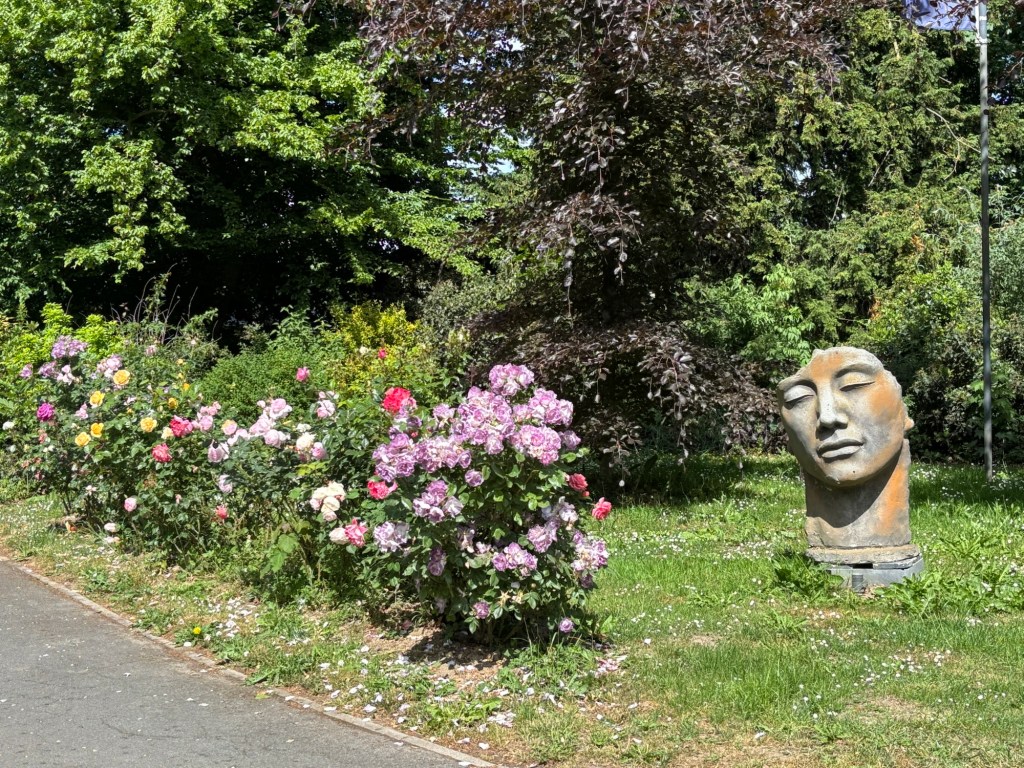 A serene garden scene featuring vibrant rose bushes in various colors alongside a sculptural face art piece, surrounded by lush greenery and sunlight.